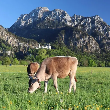 Gaestehaus Koepf Konukevi Füssen