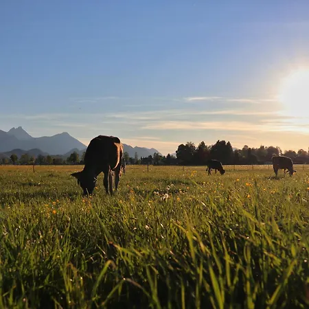 Affittacamere Gaestehaus Koepf