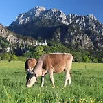 Gaestehaus Koepf Pensjonat Füssen