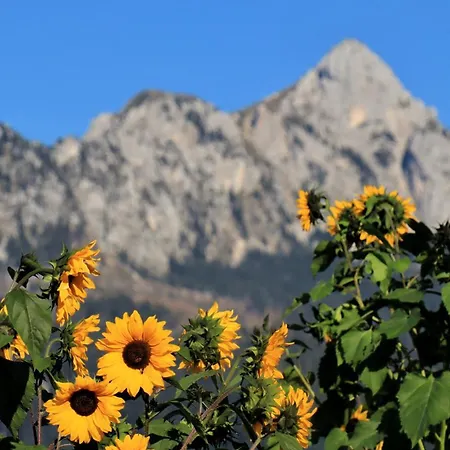 쾨프 게스트하우스 Füssen