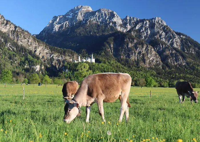 Gaestehaus Koepf Gæstehus Füssen