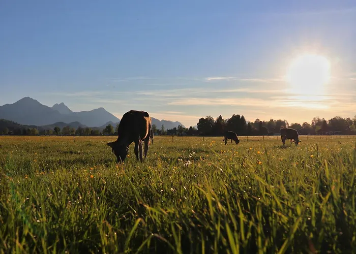 招待所 伽斯腾翰斯·库普夫酒店
