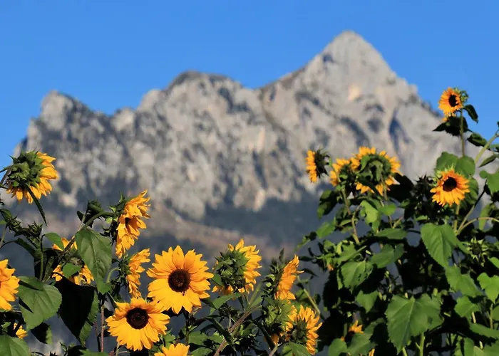 伽斯腾翰斯·库普夫酒店 招待所 福森