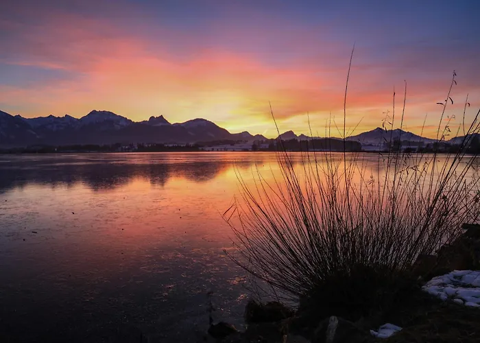 伽斯腾翰斯·库普夫酒店 招待所 3*